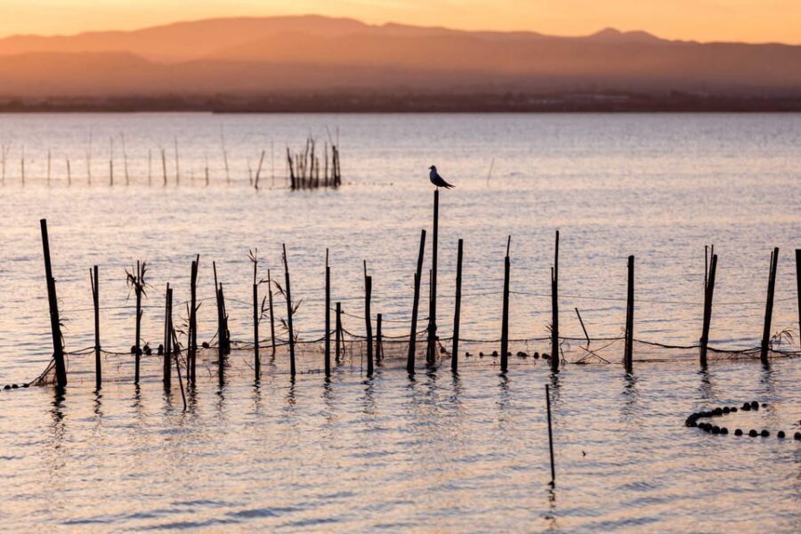 From Valencia: Albufera Natural Park with Sunset Boat Tour - Should you book the Albufera sunset tour with Hola Trip?