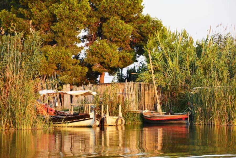 From Valencia: Albufera Natural Park with Sunset Boat Tour - Entering Albufera: why this park feels special at sunset