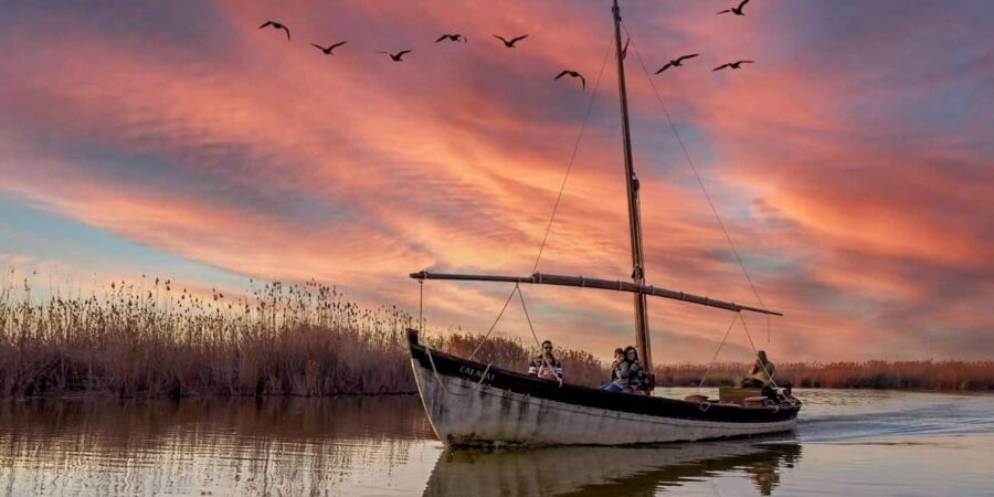 From Valencia: Albufera Natural Park with Sunset Boat Tour - The one-hour guided walk: reeds, wildlife, and El Saler dunes