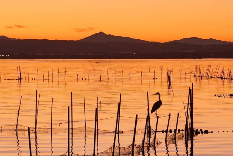 From Valencia: Albufera Natural Park with Sunset Boat Tour - The sunset boat cruise: quiet water and the guide’s countdown to golden hour