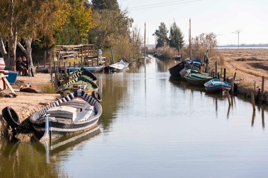 From Valencia: Albufera Natural Park with Sunset Boat Tour - Price and value: what $40 covers and what it doesn’t