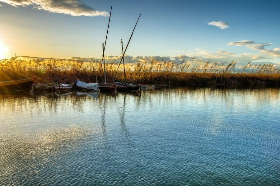 From Valencia: Albufera Natural Park with Sunset Boat Tour - Language, guide style, and how the day is explained