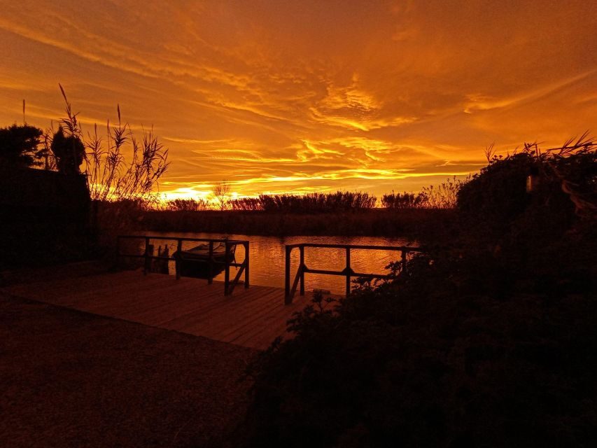 From Valencia: Albufera Natural Park with Sunset Boat Tour - Small practical tips that make the day smoother