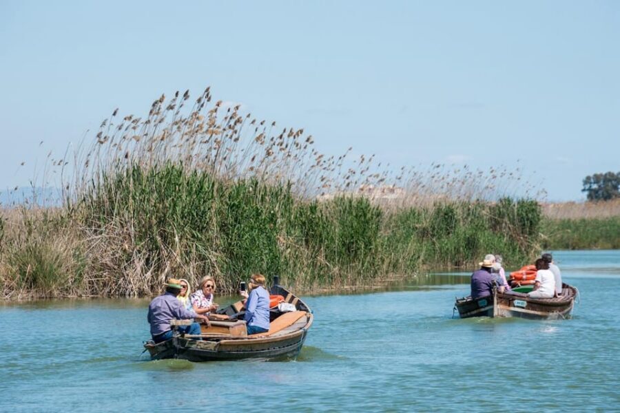 From Valencia: Albufera Private Tour, Paella & Boat Ride - The birdwatching tower at Torre mirador del Tancat de Mília