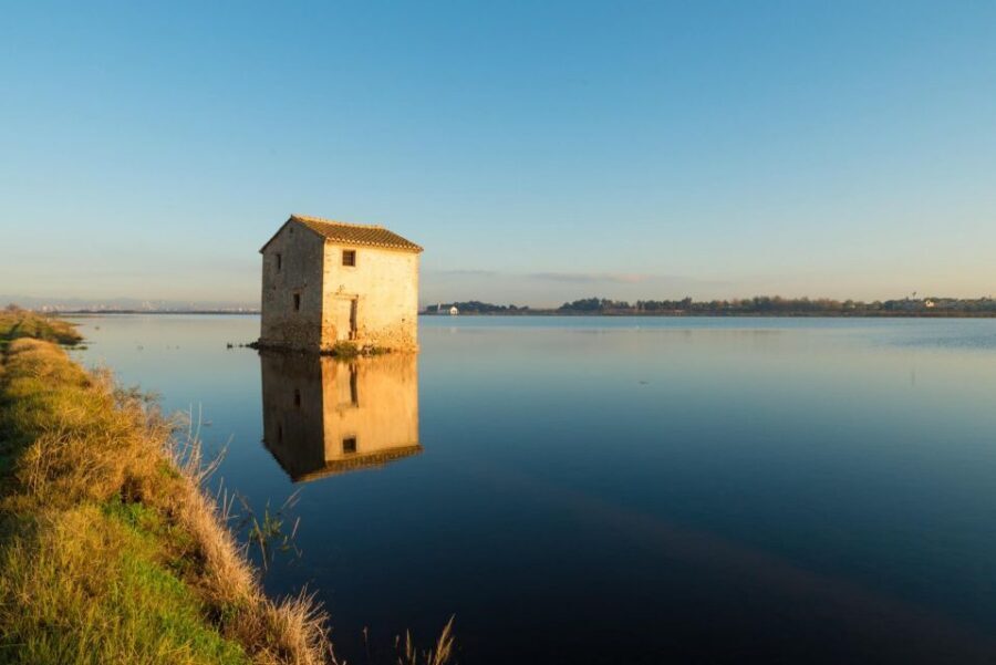 From Valencia: Albufera Private Tour, Paella & Boat Ride - Lunch by the lake: paella, wine, and cava with a real local setting