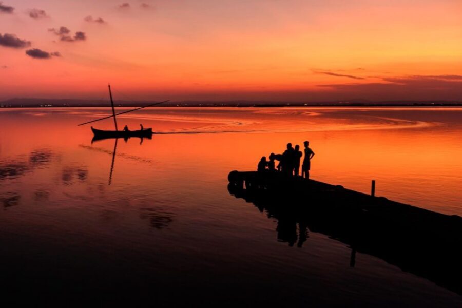 From Valencia: Albufera Private Tour, Paella & Boat Ride - One-hour Albufera boat cruise: sunset, rice tales, and calm water