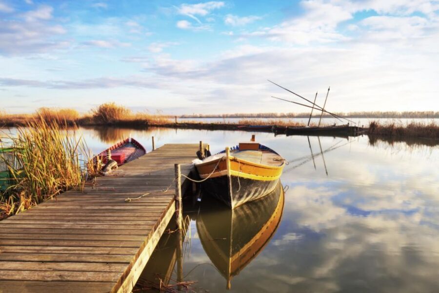 From Valencia: Albufera Private Tour, Paella & Boat Ride - The small practical things that make or break the day