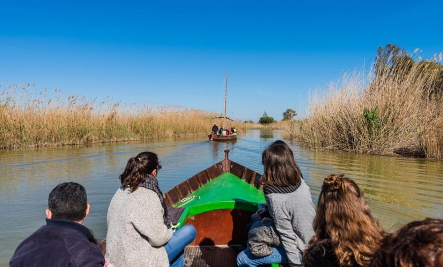 From Valencia: Albufera Private Tour, Paella & Boat Ride - Who this tour is best for