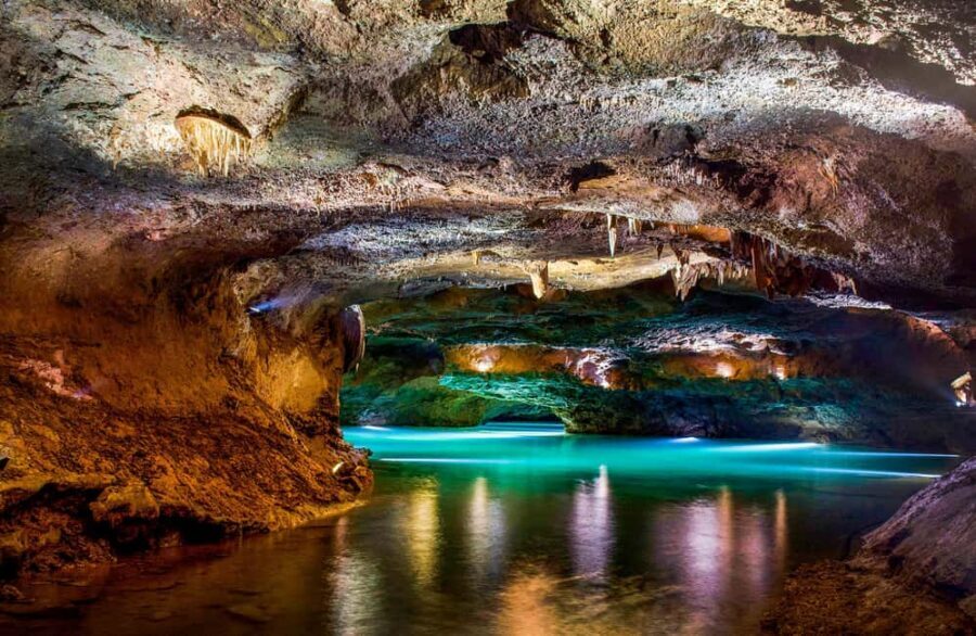 From Valencia: Caves of San José Guided Excursion and Ticket - Price and value: is about $55 a good deal?