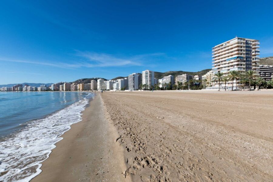 From Valencia: Cullera Old Town and Albufera Natural Park - Getting There and Back: What “Meet Your Driver” Means