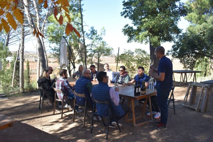 From Valencia: Guided Cheese Factory Tour with Wine Tasting - A Morning Out of Valencia: Utiel-Requena’s Bobal Wine Country