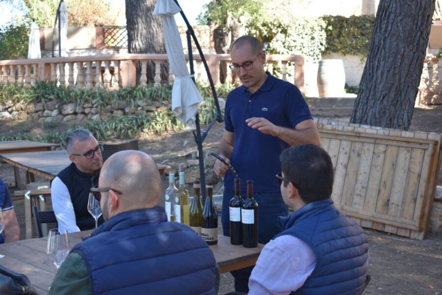 From Valencia: Guided Cheese Factory Tour with Wine Tasting - Price and Value: Is $117 per Person Reasonable?