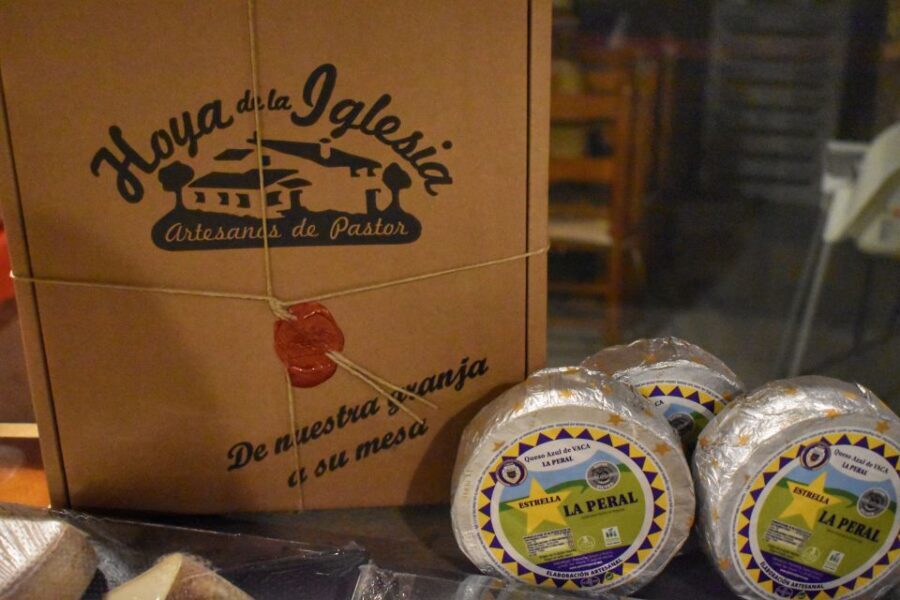 From Valencia: Guided Cheese Factory Tour with Wine Tasting - Should You Book This Guided Cheese Factory and Winery Day?