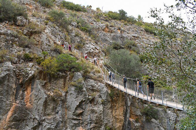From Valencia: Hiking and Hanging Bridge Adventure in Chulilla - Ruta de los Calderones: canyon sights, river-side plants, and keeping your balance