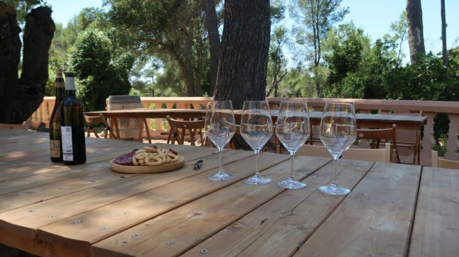 From Valencia: Utiel-Requena Wine Tour and Traditional Lunch - The 4-Wine Tasting and Surprise Pairing (Where It Clicks)