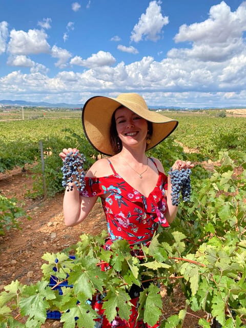 From Valencia: Utiel-Requena Wine Tour and Traditional Lunch - Meeting Point, Timing, and How the Day Moves