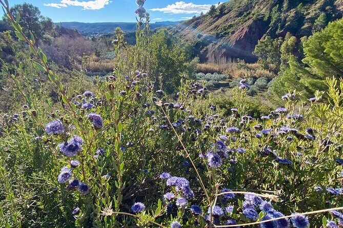 Full-day Hiking at Ruta the Aqua across Pena Cortada - Pace and fitness: a 10-hour day with climbs, but not a race