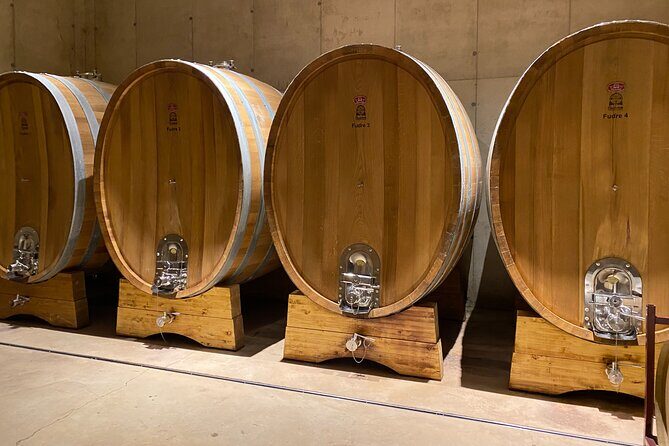 Full Day Private Requena Wineries Premium Tastings - A private Requena day from Valencia: what you’re paying for