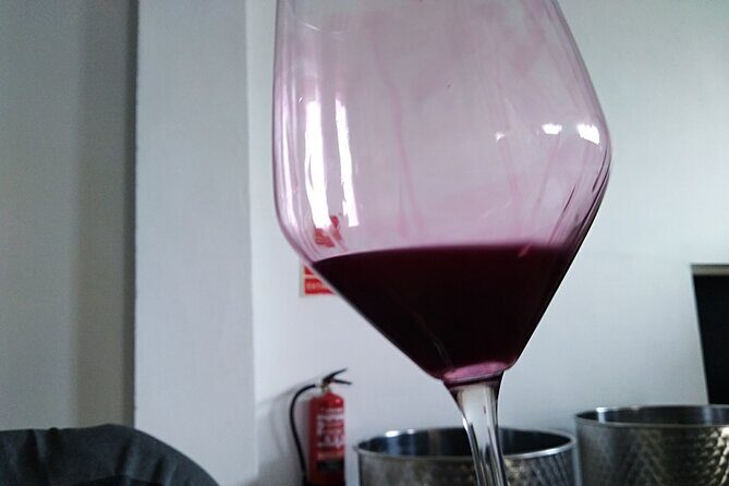 Full Day Private Requena Wineries Premium Tastings - Getting to Requena: pickup timing and comfort tips