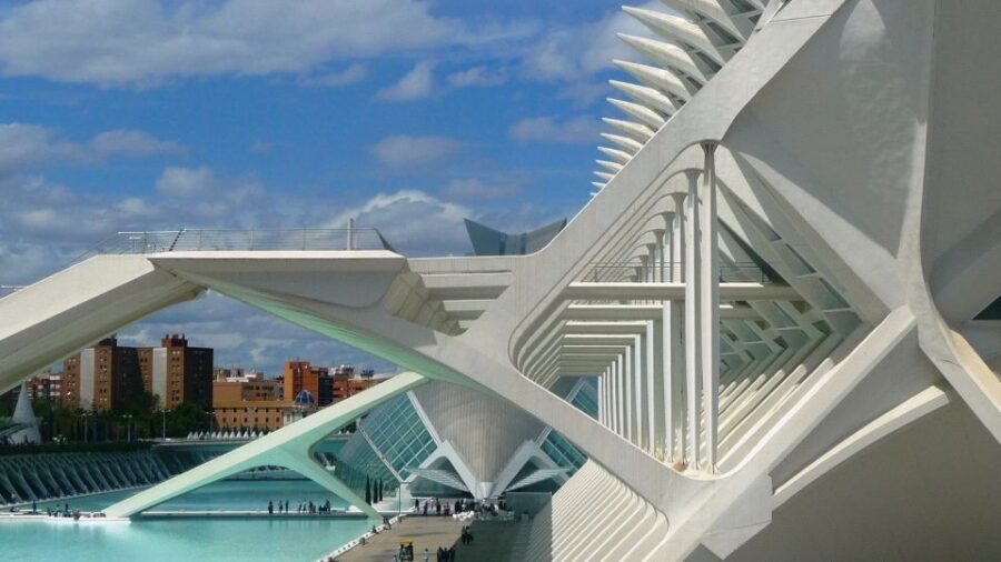 Highlights of Valencia: Private Half-Day Tour - City of Art and Science: architecture with context, not just photos