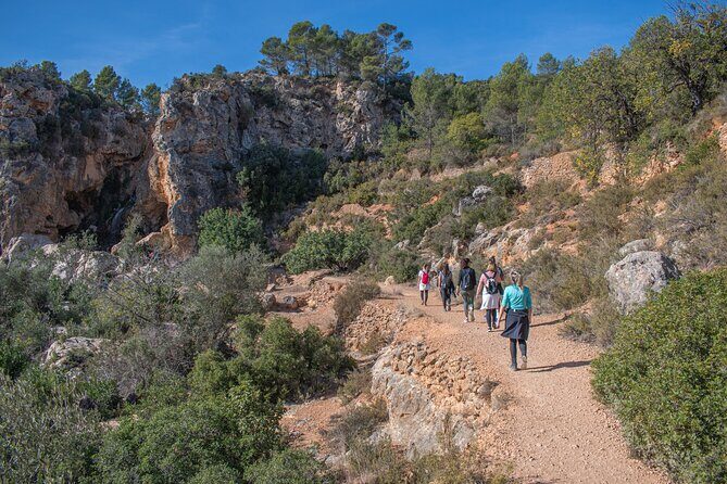 Hiking Experience between Waterfalls in Buñol from Valencia - Timing and Tempo: What a 7-hour Day Feels Like
