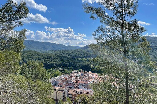 Hiking in Montanejos and swim in Thermal Springs - OFFICIAL GUIDE - Climbing the Maimona Ravine Walls: Where the Effort Shows Up Fast