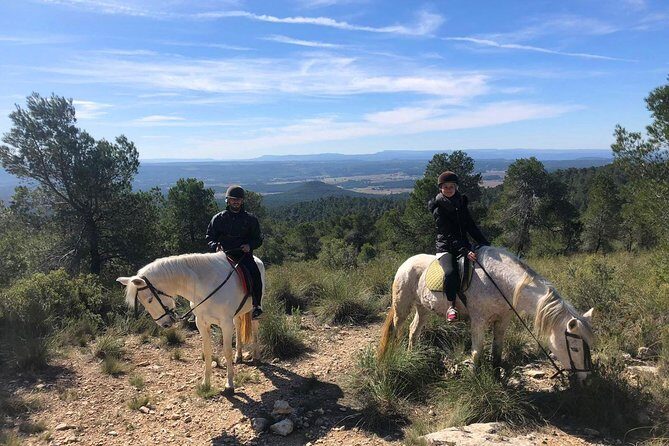Horseback riding and wine tour (private tour) - Key points worth knowing before you go