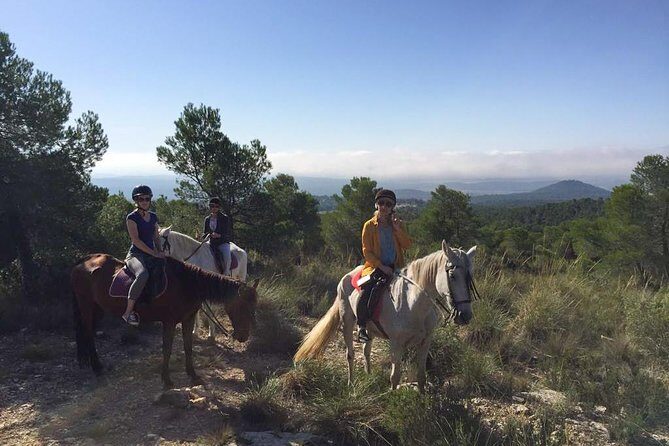 Horseback riding and wine tour (private tour) - The 9:45 am schedule and how the 6 hours tend to feel
