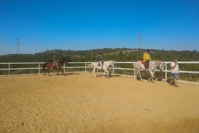 Horseback riding and wine tour (private tour) - Does this include a winery visit, or just tasting?
