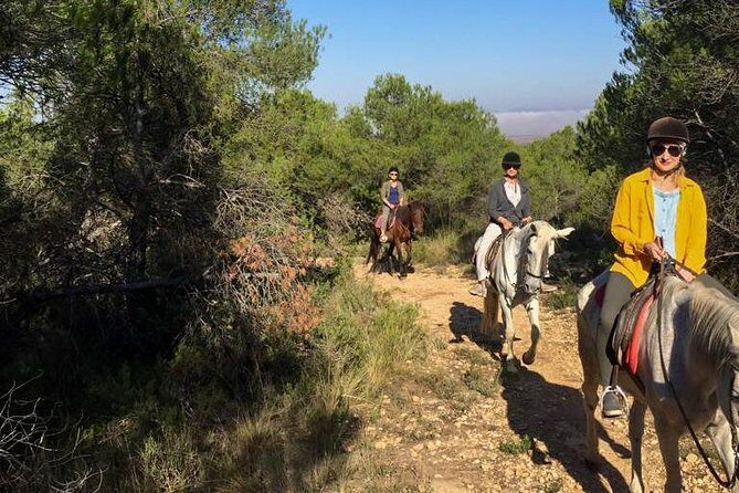 Horseback riding and wine tour (private tour) - Price and value: what you’re paying for at $180.62
