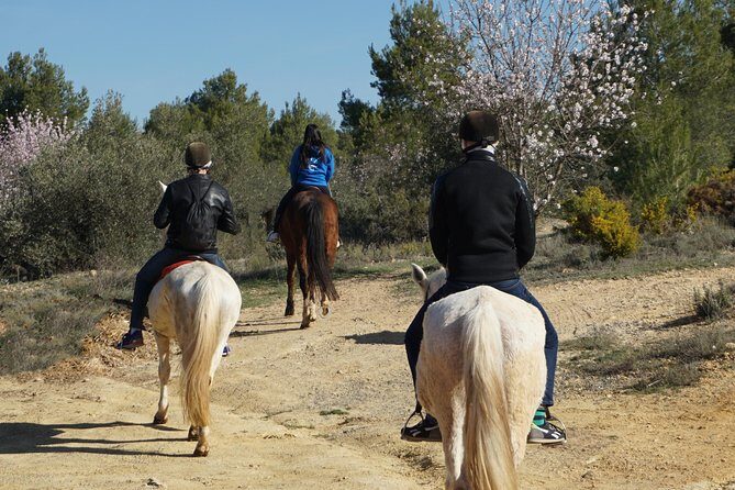 Horseback riding and wine tour (private tour) - The 45-minute horseback ride: calm guidance and countryside time