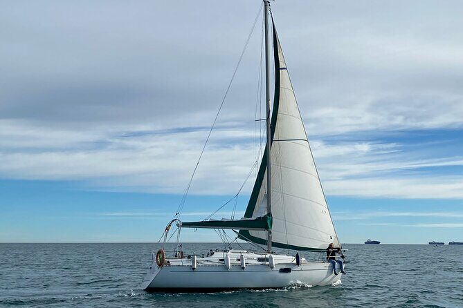 Private Boat Tour along the Coast of Valencia - The Swim Part: Mediterranean Water Time From the Boat