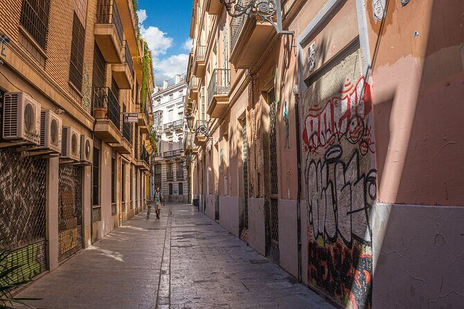 Private Tour of Valencia with Official Guide - Calle Caballeros: The Street of Palaces