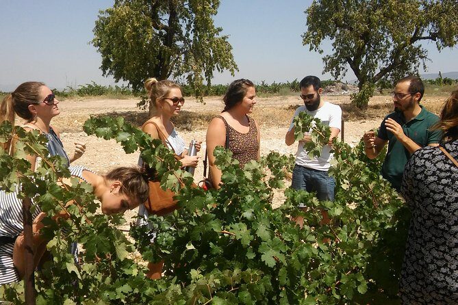 Private Wine Tour with Wine Tasting and Full Lunch (day trip) - Key highlights worth planning around