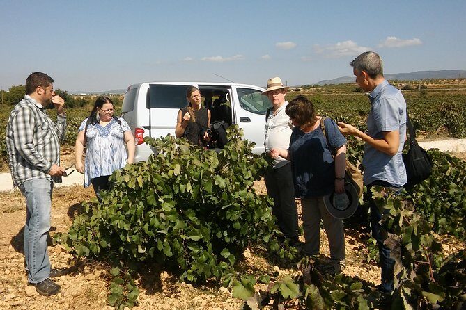 Private Wine Tour with Wine Tasting and Full Lunch (day trip) - Why Utiel-Requena works so well as a Valencia day trip