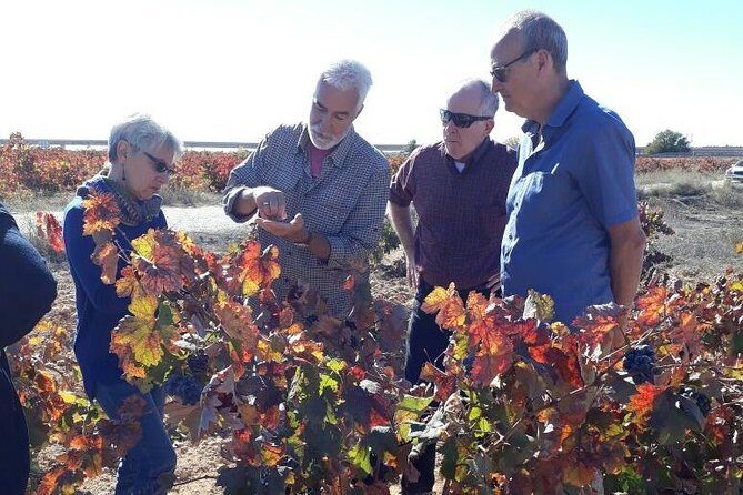 Private Wine Tour with Wine Tasting and Full Lunch (day trip) - Stop 1: Murviedro (Bodega Historica) and Requena’s wine caves
