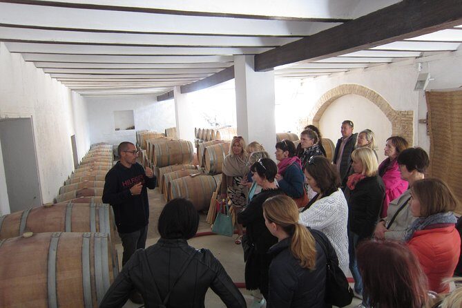 Private Wine Tour with Wine Tasting and Full Lunch (day trip) - Stop 2: Bodega Vera de Estenas, a 19th-century family winery