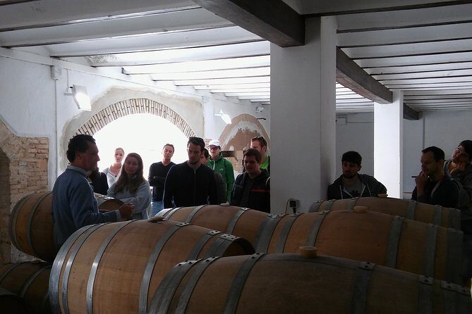 Private Wineries Tour from Valencia (morning tour) - Murviedro Cave Winery: 9th-Century Storage Under the Old Village