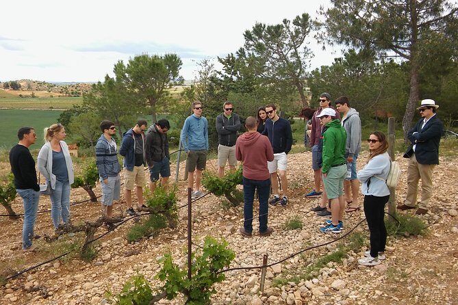 Private Wineries Tour from Valencia (morning tour) - Bodega Vera de Estenas: A 19th-Century Winery Tour to the Barrel Room