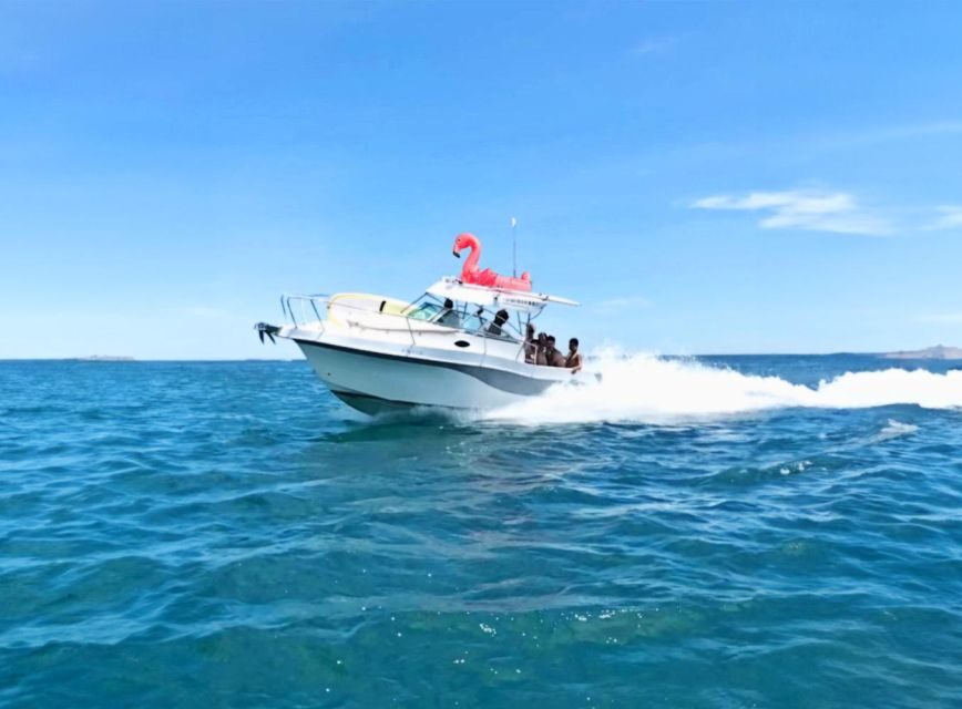 Rent Boat Valencia Yatch Polonova with capitan and drinks - WAVEPOL departure in Valencia: start and finish in the same place