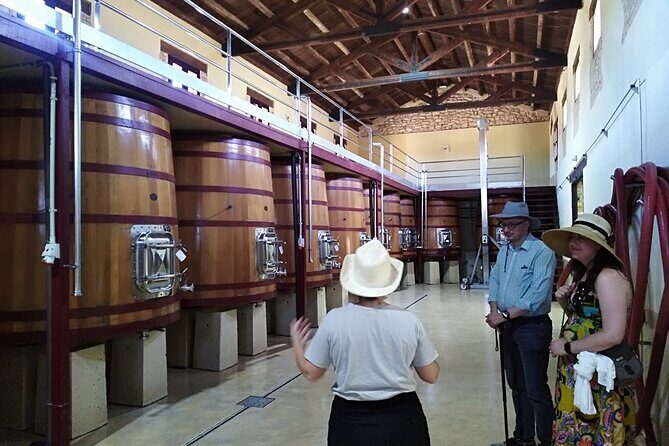 Requena Somm. Private Vineyards/ Premium Wine tasting 1/2 Day - Requena first: Gothic churches, a castle vibe, and a Moors cave stop