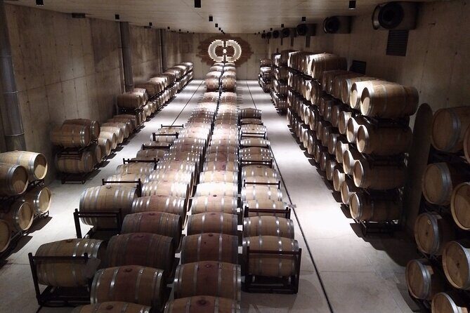 Requena Somm. Private Vineyards/ Premium Wine tasting 1/2 Day - Sierra Norte: High-altitude plots, an eco winery, and a heritage museum feel