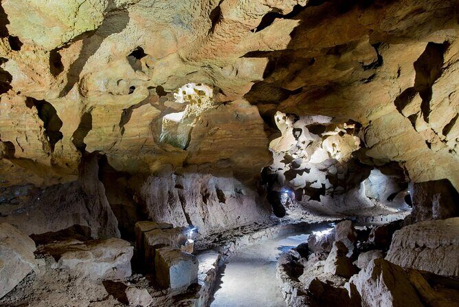San Jose Caves Guided Tour from Valencia - Timing inside the site: free time, snacks, and the small commercial corners