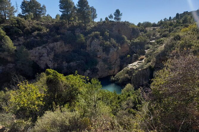 Shared Hike Tour in Valencia - Key Highlights at a Glance