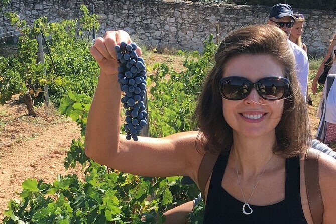 Singular Valencia Wine Tour Utiel Requena Wineries - Stop 1: Murviedro’s cave setting and the medieval storage story