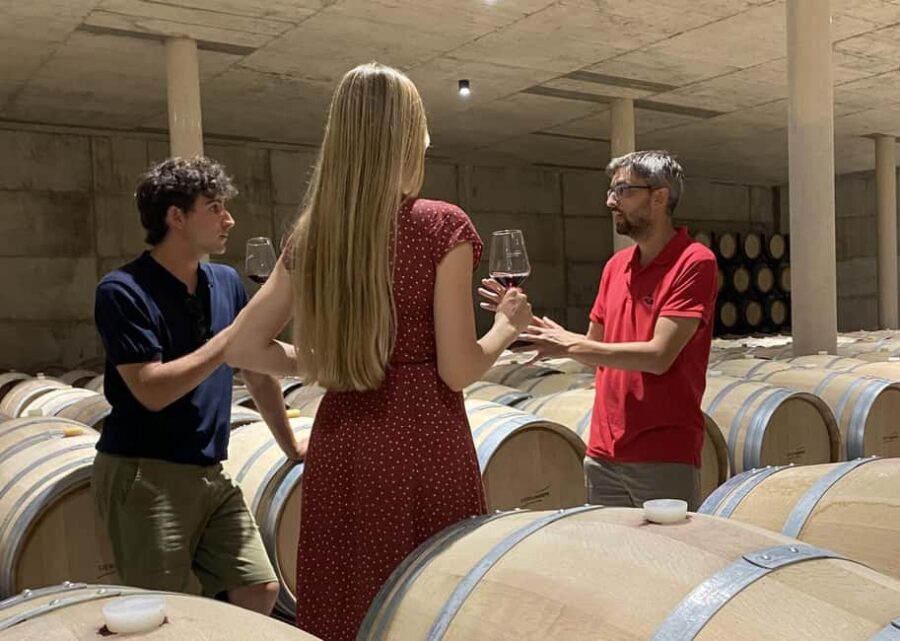 Small-Group Wine Tour from Valencia with Tastings Max 7 - Valencia to Requena: the smooth half-day rhythm