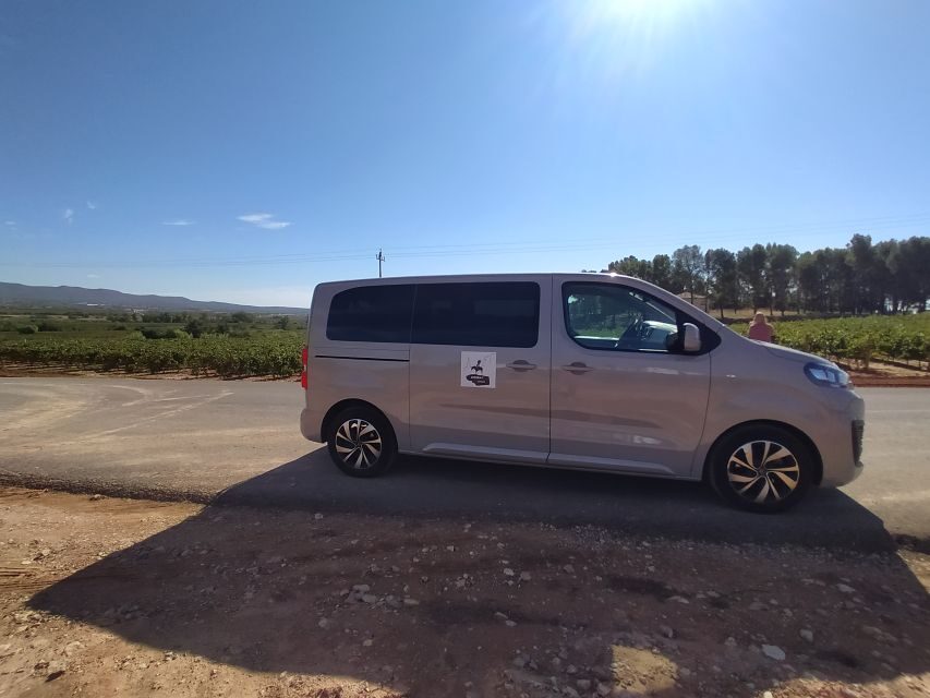 Small-Group Wine Tour from Valencia with Tastings Max 7 - Murviedro – Bodega Histórica: tasting history underground