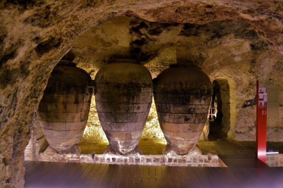 Small-Group Wine Tour from Valencia with Tastings Max 7 - Final verdict: should you book this Valencia to Requena wine tour?
