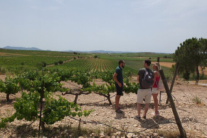 Tapas in the vineyards - What you’ll learn about Spanish wine (without getting forced into a class)