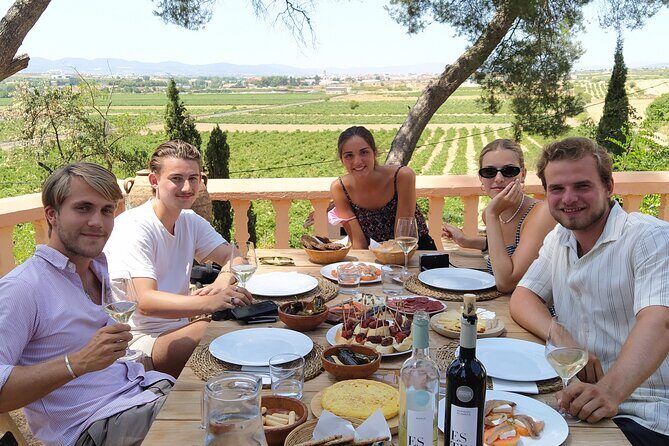 Tapas in the vineyards - Price and value: what you’re paying for (and what you actually get)